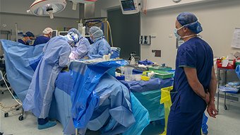 Raf Epstein looks on during Hamish's heart valve transplant surgery. Image courtesy of ABC 774.